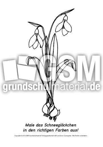 Frühlingsblüher-Ausmalbilder 5.pdf